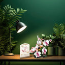 Dify Orchid Mantis Insect Flower Building Blocks Set (478+ PCS) | LED Lights, for Kids & Adults | STEM Educational Nature Toy for Kids & Adults