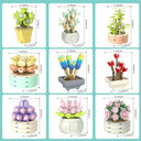 Dify 9 in 1 Succulent Bonsai|| for Decoration Home Decor|| 5 Year Structural Warranty||(750+pcs)