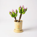 Dify || Succulent Plant Building Block Set || 76 Pcs || Mini Cactus Toy in Pot for Kids Age 6+ || Compatible with Major Brick Brands