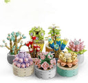 Dify 9 in 1 Succulent Bonsai|| for Decoration Home Decor|| 5 Year Structural Warranty||(750+pcs)