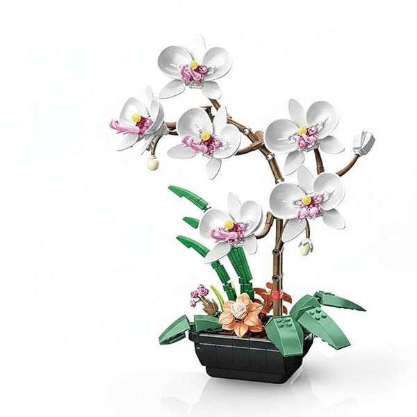 Dify Orchid Flower Building Blocks, Bouquet Building Kit || (581+ Pcs)