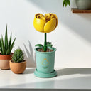 Dify || Bloom Series || Yellow Rose Building Block Set || 34 Pcs || Compatible with Major Brick Brands