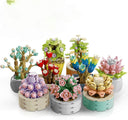 Dify 9 in 1 Succulent Bonsai|| for Decoration Home Decor || (750+pcs)