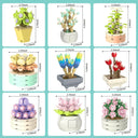 Dify 9 in 1 Succulent Bonsai|| for Decoration Home Decor || (750+pcs)