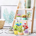 Dify 9 in 1 Succulent Bonsai|| for Decoration Home Decor || (750+pcs)