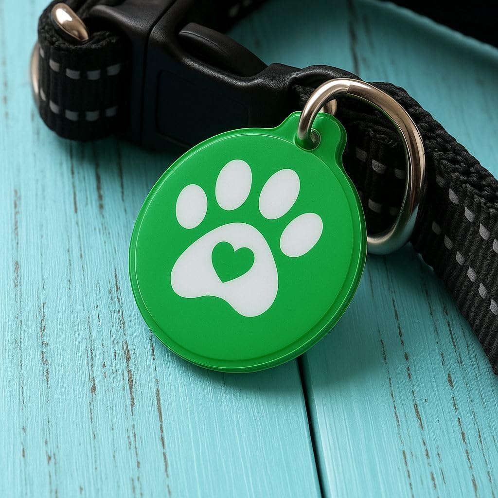 Dify Smart Pet ID Tag with QR Code & NFC | No Subscription | Instant Scan & Contact Info Access | Track & Reunite Lost Pets Quickly | Waterproof, Durable Dog & Cat Tag | Lifetime Access [Green]