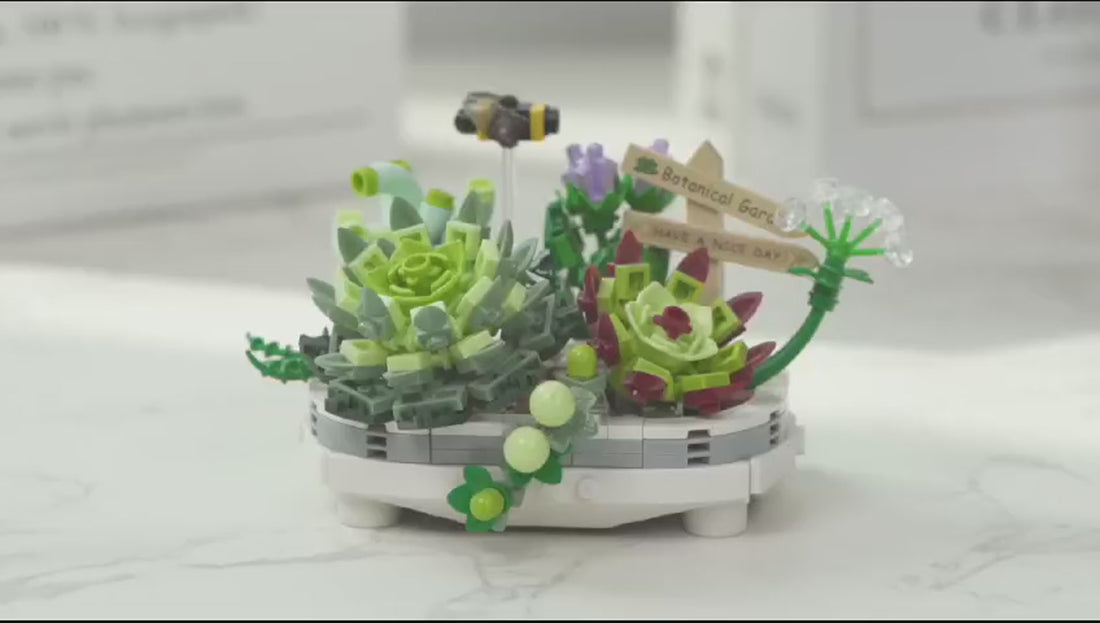 Dify Succulent building blocks tree model, 389+ pieces — product video