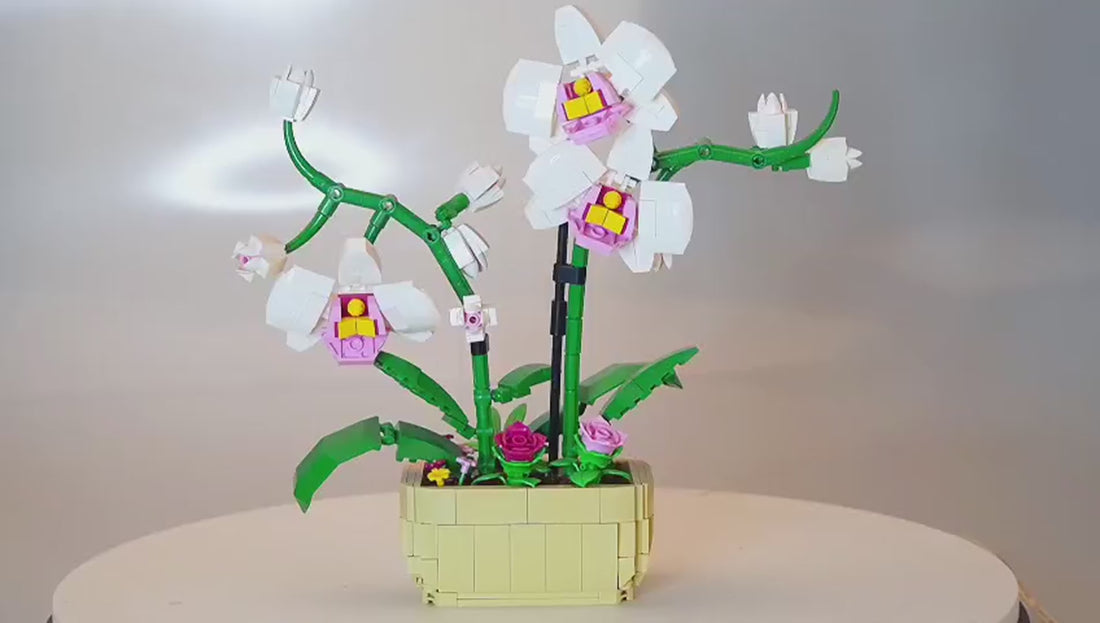 Dify Orchid Flower bouquet building kit, 581+ pieces — product video