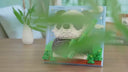 Dify Panda Wall Art Building Blocks Set (2064+ PCS) | 3D Wildlife Mosaic Display Model | Home & Office Wall Décor Complex for Ages 14+ | 5 Year Structural Warranty video