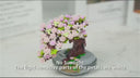 Dify Mini Bricks Building Blocks Sakura Tree Model || (426+ Pcs) | 5 Year Structural Warranty video